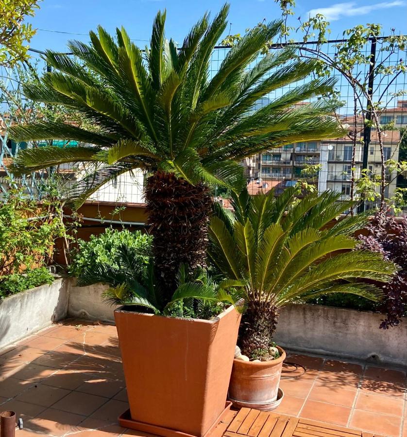 Il Giardino Sospeso Di Anna Apartman Firenze Kültér fotó